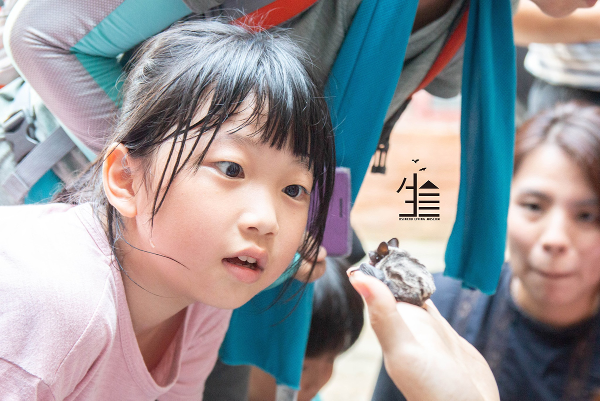 以雞和蝙蝠為學伴的永續都市新生活